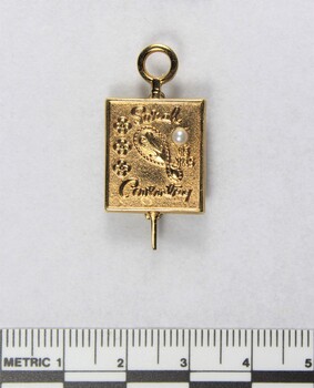 Front of a small gold metal pin for 15 years, with a pearl inlay and a 5 cm black and white scale.
