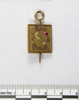 Front of a Sarah Coventry gold metal pin for five years service, with a faceted pink stone inlay on the proper left side and a 5 cm black and white scale.
