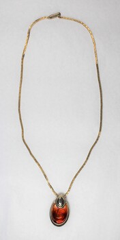 Front of a gold toned metal neckalce with an oval-shaped pendant inlaid with a brown resinous material.