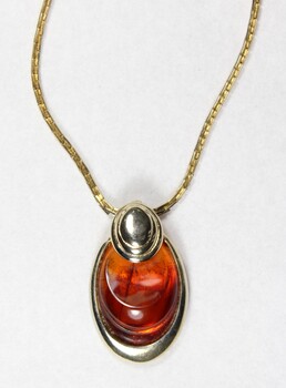 Detail of the front of a gold toned metal neckalce with an oval-shaped pendant inlaid with a brown resinous material.