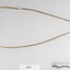 Front of a gold toned metal necklace with an oval-shaped pendant from the Sarah Coventry jewellery range with a black and white 5 cm scale.