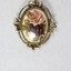 Front of a gold toned metal brooch-pendant with a cameo of one pink and one red rose, with a black and white 5 cm scale.
