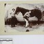 Haeusler Collection Photograph of Two Men with a Horse c. late 1800s with 5cm scale
