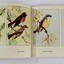 Interior pages of book showing text and bird illustrations. 