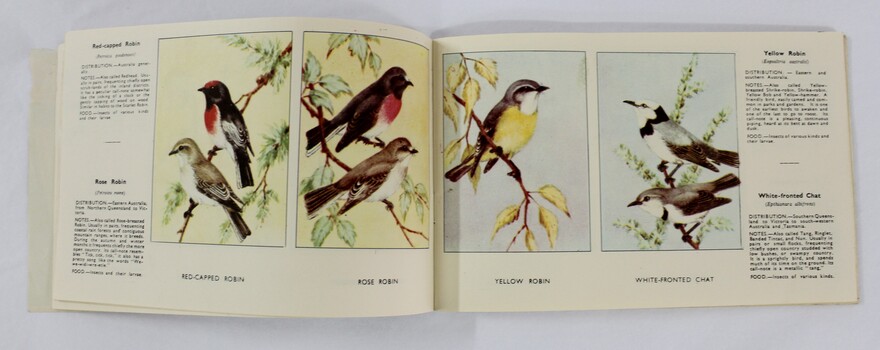 Interior pages of book showing text and bird illustrations. 