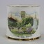 White cup with a gold rim and gold trim around the base. A hand-coloured transfer image fills the front side