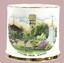 Souvenir Cup Woodland Grove, Wodonga