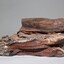 Murray River Red Gum Geological Specimen c. 6000 BP
