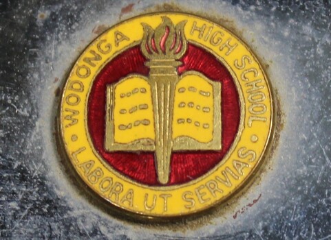Yellow, red and gold painted circular logo including an open book and a torch