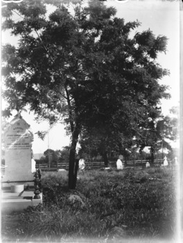 Black and white negative of the Haeusler Family graves