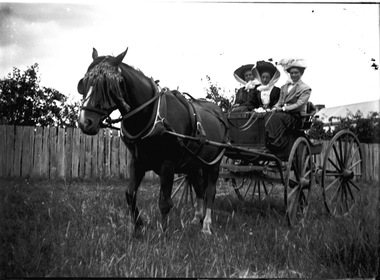 Glass negative of three ladies in a horse and buggy