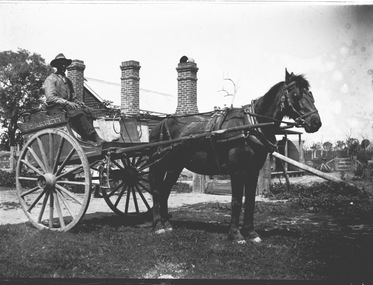 Man with a horse and cart with house in the background