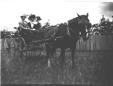 3 ladies in a horse and buggy