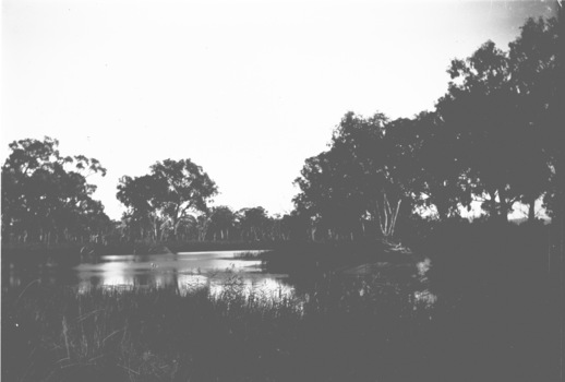 View of water between trees near Wodonga