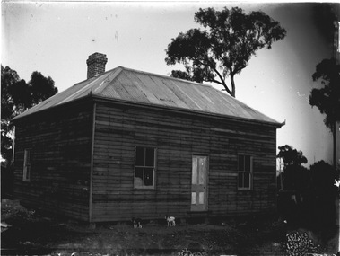 A timber house with a wrought iron roof. Two dogs standing at the front.