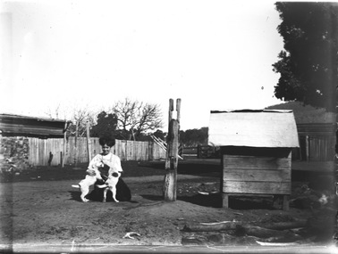 A woman sitting on the ground to the left, patting two dogs. A dog kennel is on the left.