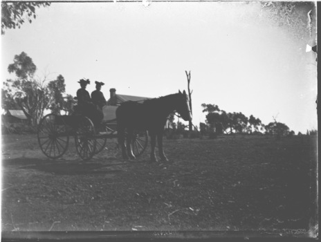 Two women in a horse and buggy. The family home is in the background.