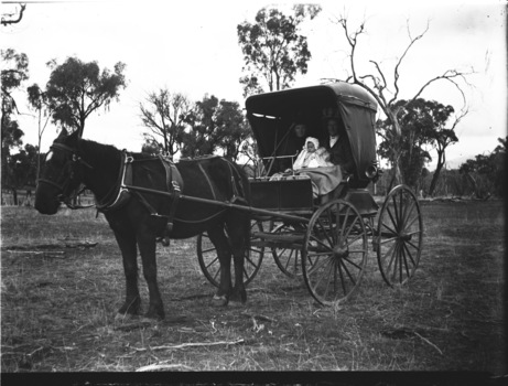 A hooded buggy carrying a couple and a baby.
