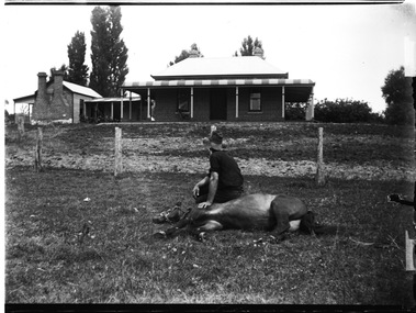 Jack Parker sitting on a pony which is lying on the ground. A house and outbuildings can be seen in the background.