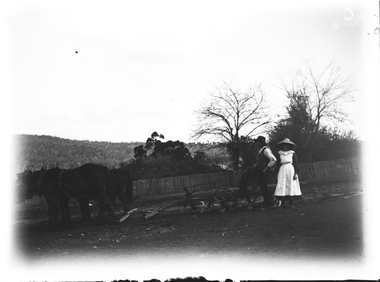 Man and woman on right with a team of two horses harnessed to farm machinery.