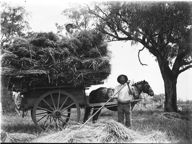 A man spreading hay with a rake in the foreground. A horse and cart loaded with hay is behind him.