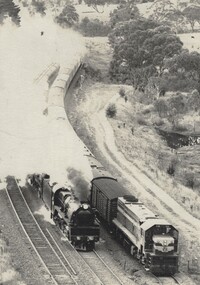 2 locomotives at Broadford