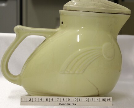 Side view of electric jug including scale in centimetres