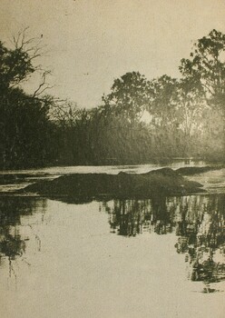 Planning for Albury-Wodonga: An environmental assessment Back Cover