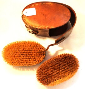 2 brushes and a leather case