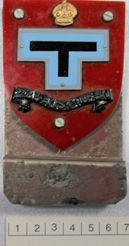 2/23rd Battallion - small shield attached with scale