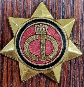 Civil Defence Queensland Badge