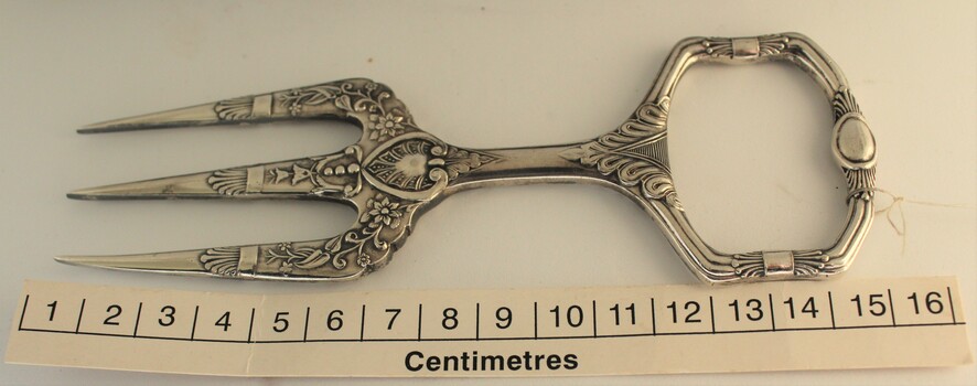 Cake fork with scale in centimetres