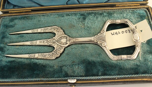 SIlver cake serving fork placed in case in fork shaped recess