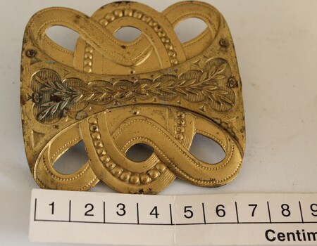Gold metallic Belt Buckle with scale in centimetres