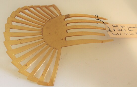 Shell pronged hair ornament for bun