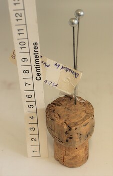 Hat pins stuck into cork with scale in centimetres.