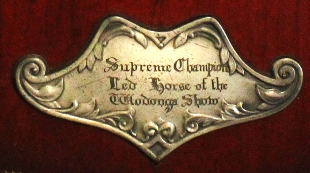 Metal plaque on shield showing the name of the event.