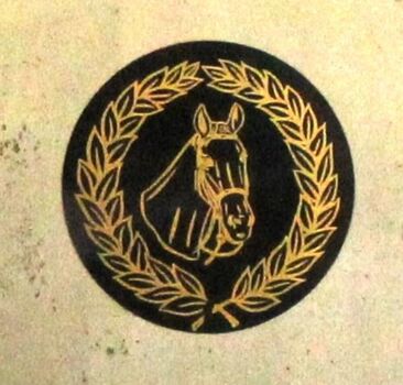 Centrepiece of Shield featuring a horse's head.