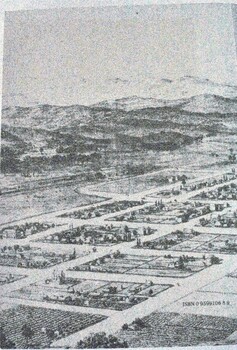 Back cover - An artist's impression of Albury in 1881.