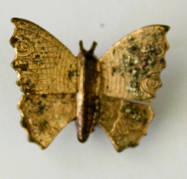 A small gold butterfly brooch 