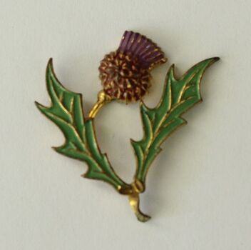 Multi coloured scotch thistle brooch