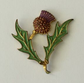 Multi coloured scotch thistle brooch