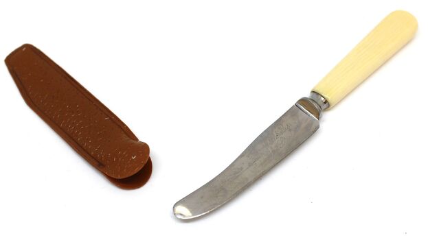 A small ivory handled fruit knife with a leather cover.