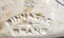 "Pinnacle Brand" imprinted on the side of one bottle