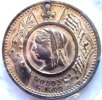 Boer War Peace medallion showing the profile of Queen Victoria