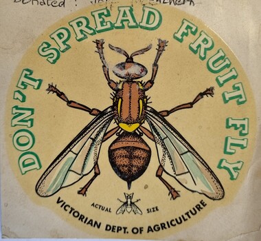 Coloured Fruit Fly Border Express Pass showing a large image of a Fruit Fly.
