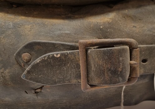 One of several leather buckles on the collar used to attach other straps and secure the harness.