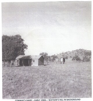 Conway Family dairy with Watson's Hill, Wodonga in the background