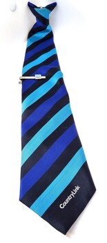 Blue striped CountryLink uniform Tie and Tiepin