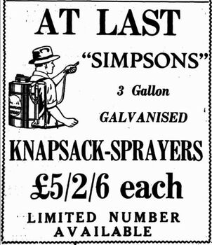 A newspaper advertisement showing a man using a Simpson knapsack